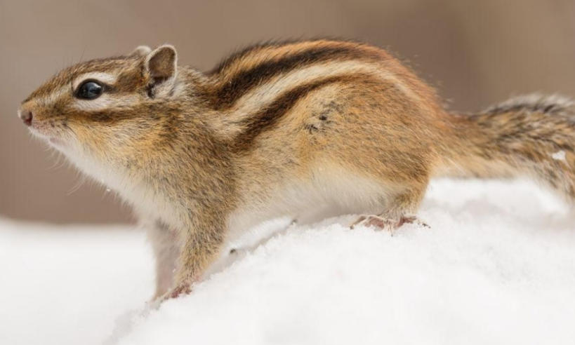 致富小项目平台轮播图4