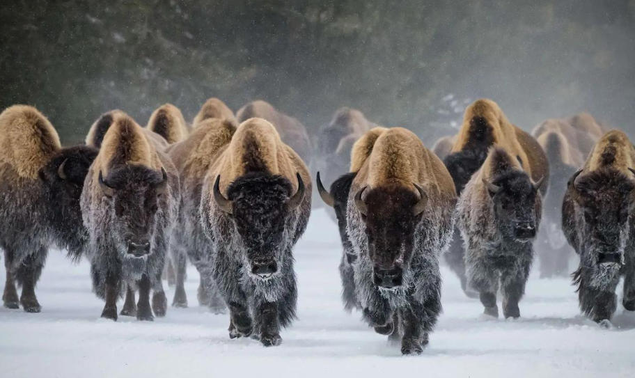 致富小项目平台轮播图1