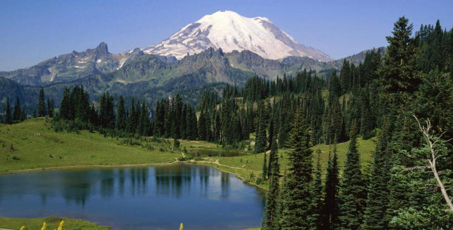 致富小项目平台轮播图4